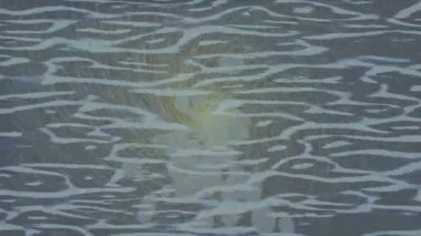 Benzersiz dijital hareket grafiklerine sahip yaratıcı sinematik projeler için yumuşak animasyon yüzeyi