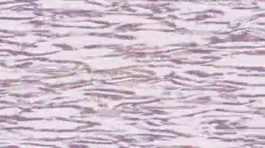 Modern medya üretimi için fütüristik dijital soyut doku sinematik tarz hareketli grafik ögesi