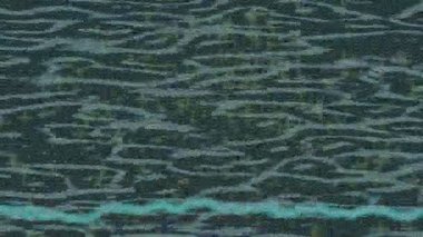 Profesyonel video projeleri sanat tarzı için organik hareketli arkaplan tasarımı