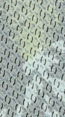 Lüks hareket tasarımı üst düzey video projeleri ve dijital sanat için zarif, pürüzsüz bir dokusu var.