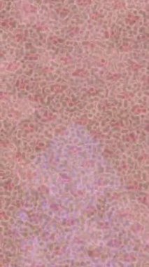 Benzersiz video giriş tasarımı projeleri için detaylı yüzey kalıbı film animasyon stili grafik girişi