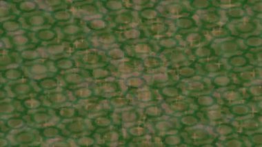 Estetik doku arkaplan tasarımı renkli hareket grafikleri ile moda film giriş profosyoneli