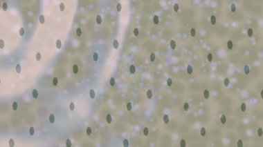 Benzersiz dijital animasyon tarzı grafikleri olan yaratıcı ortam tasarımı için yenilikçi hareket dokusu