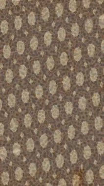 Soyut hareket desenli fütüristik video üretimi için dinamik dijital arkaplan