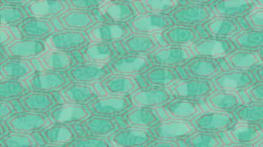 Benzersiz dijital hareket grafiklerine sahip yaratıcı sinematik projeler için yumuşak animasyon yüzeyi