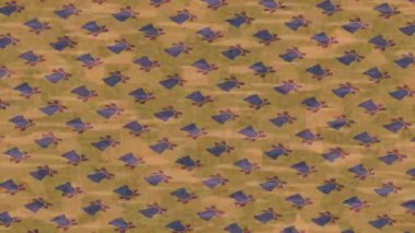 Lüks hareket projeleri için soyut tasarım stili animasyonu olan üst düzey dijital doku