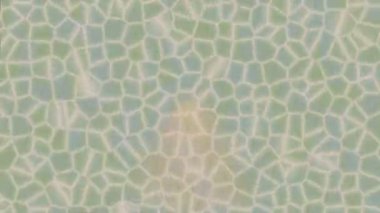 Yaratıcı video düzenleme film arkaplan tasarımı için minimalist organik hareket grafikleri