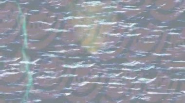 Organik desenli yüzey giriş stili video film sanatı ile soyut arkaplan tasarımı