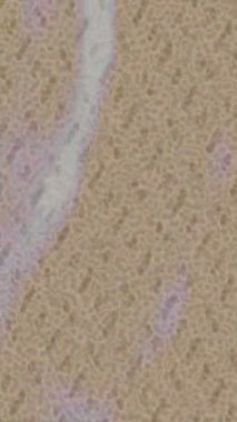 Benzersiz hareket grafikleri tasarım sanatına sahip yaratıcı film üretimi için özet bir arkaplan