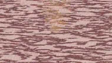 Dijital doku yüzey tasarım biçimi ile modern video animasyonu için gelişmiş hareket grafikleri