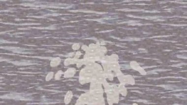 Profesyonel video projeleri sanat tarzı için organik hareketli arkaplan tasarımı