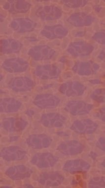 Yaratıcı video düzenleme film tasarımı için benzersiz hareket grafikleri biçimi giriş hareketi video pro