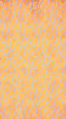 Organik desenli yüzey giriş stili video film sanatı ile soyut arkaplan tasarımı