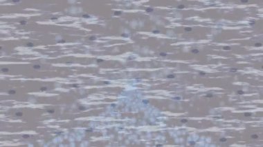 Yaratıcı video düzenleme film tasarımı için benzersiz hareket grafikleri biçimi giriş hareketi video pro