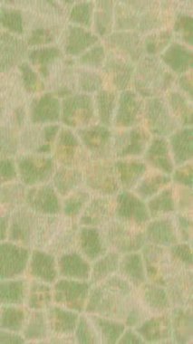 Profesyonel video projeleri sanat tarzı için organik hareketli arkaplan tasarımı