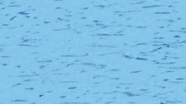 Estetik doku arkaplan tasarımı renkli hareket grafikleri ile moda film giriş profosyoneli