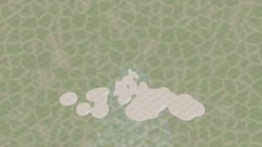 Benzersiz dijital hareket grafiklerine sahip yaratıcı sinematik projeler için yumuşak animasyon yüzeyi