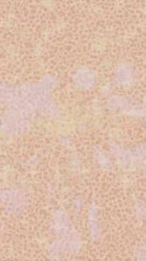 Benzersiz video giriş tasarımı projeleri için detaylı yüzey kalıbı film animasyon stili grafik girişi