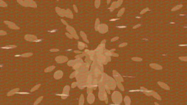 Dijital doku yüzey tasarım biçimi ile modern video animasyonu için gelişmiş hareket grafikleri