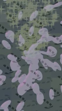 Benzersiz dijital hareket grafiklerine sahip yaratıcı sinematik projeler için yumuşak animasyon yüzeyi