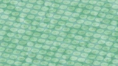 Yaratıcı video düzenleme film tasarımı için benzersiz hareket grafikleri biçimi giriş hareketi video pro