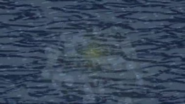 Soyut hareket desenli fütüristik video üretimi için dinamik dijital arkaplan