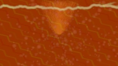 Benzersiz dijital animasyon tarzı grafikleri olan yaratıcı ortam tasarımı için yenilikçi hareket dokusu