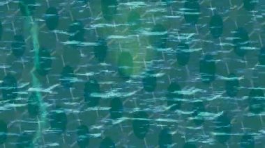 Benzersiz video giriş tasarımı projeleri için detaylı yüzey kalıbı film animasyon stili grafik girişi