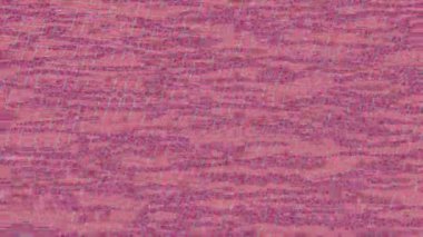 Yaratıcı video düzenleme film tasarımı için benzersiz hareket grafikleri biçimi giriş hareketi video pro