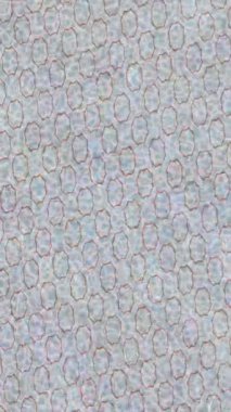 Benzersiz dijital hareket grafiklerine sahip yaratıcı sinematik projeler için yumuşak animasyon yüzeyi