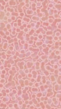 Benzersiz hareket grafikleri tasarım sanatına sahip yaratıcı film üretimi için özet bir arkaplan