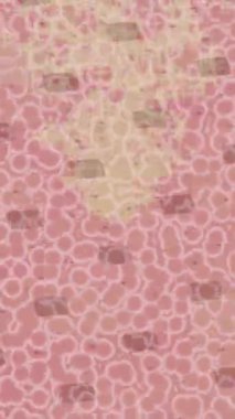 Benzersiz video giriş tasarımı projeleri için detaylı yüzey kalıbı film animasyon stili grafik girişi