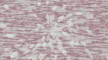 Benzersiz hareket dokusu tasarım sanatı ile profesyonel video düzenleme için modern soyut grafikler