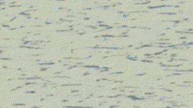 Yaratıcı video düzenleme film tasarımı için benzersiz hareket grafikleri biçimi giriş hareketi video pro