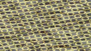 Dijital doku yüzey tasarım biçimi ile modern video animasyonu için gelişmiş hareket grafikleri