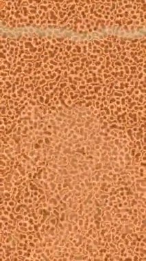 Benzersiz hareket dokusu tasarım sanatı ile profesyonel video düzenleme için modern soyut grafikler