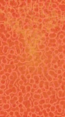 Benzersiz dijital animasyon tarzı grafikleri olan yaratıcı ortam tasarımı için yenilikçi hareket dokusu