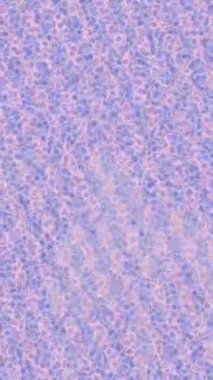 Dijital doku yüzey tasarım biçimi ile modern video animasyonu için gelişmiş hareket grafikleri