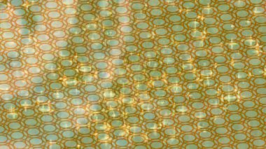 Benzersiz dijital animasyon tarzı grafikleri olan yaratıcı ortam tasarımı için yenilikçi hareket dokusu