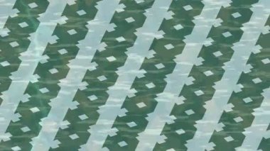 Benzersiz hareket grafikleri tasarım sanatına sahip yaratıcı film üretimi için özet bir arkaplan