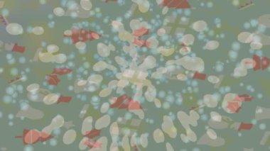 Benzersiz hareket dokusu tasarım sanatı ile profesyonel video düzenleme için modern soyut grafikler