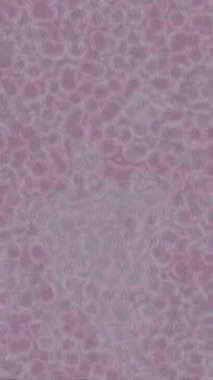 Profesyonel video projeleri sanat tarzı için organik hareketli arkaplan tasarımı