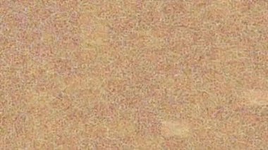 Soyut hareket desenli fütüristik video üretimi için dinamik dijital arkaplan