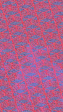 Benzersiz dijital hareket grafiklerine sahip yaratıcı sinematik projeler için yumuşak animasyon yüzeyi