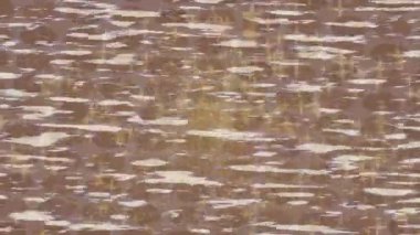 Estetik doku arkaplan tasarımı renkli hareket grafikleri ile moda film giriş profosyoneli