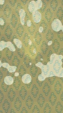 Dijital doku yüzey tasarım biçimi ile modern video animasyonu için gelişmiş hareket grafikleri