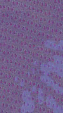 Benzersiz hareket dokusu tasarım sanatı ile profesyonel video düzenleme için modern soyut grafikler