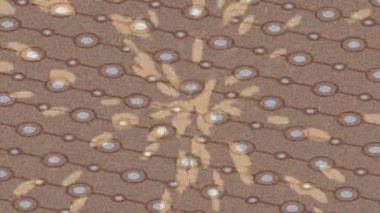 Dijital doku yüzey tasarım biçimi ile modern video animasyonu için gelişmiş hareket grafikleri