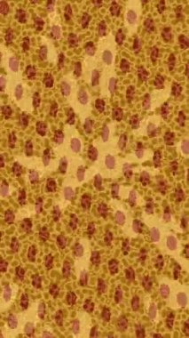 Yaratıcı video düzenleme film tasarımı için benzersiz hareket grafikleri biçimi giriş hareketi video pro