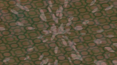 Benzersiz video giriş tasarımı projeleri için detaylı yüzey kalıbı film animasyon stili grafik girişi